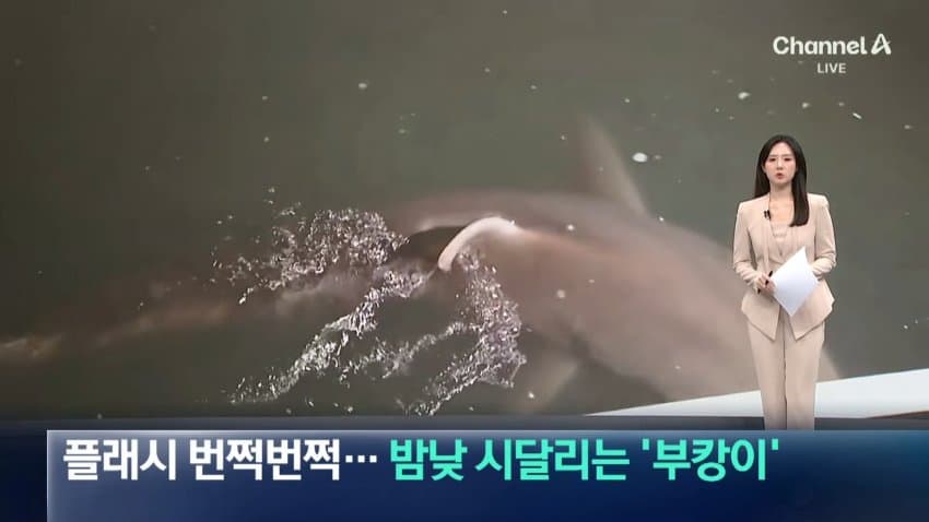 부캉이 보러... 결국 누적 100만명 돌파 (12)