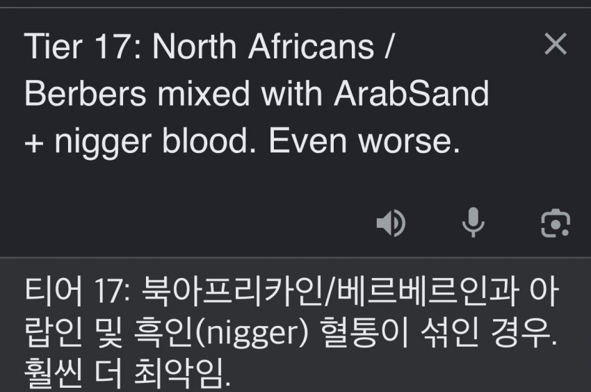 서양 커뮤에서 만든 인종 순위 20단계 (11)