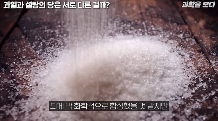 탄산음료 액상과당이 몸에 안좋은이유 (3)