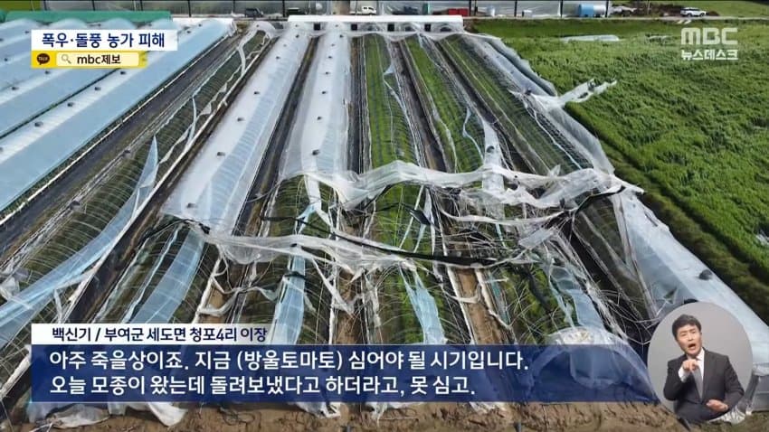 돌풍에 비닐하우스 '폭싹'‥내일 새벽 '집중호우' 2차 피해 우려 (8)