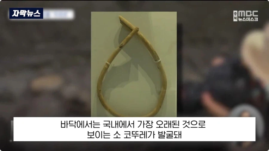 충주에서 1600년전 백제 유물 발견 (14)