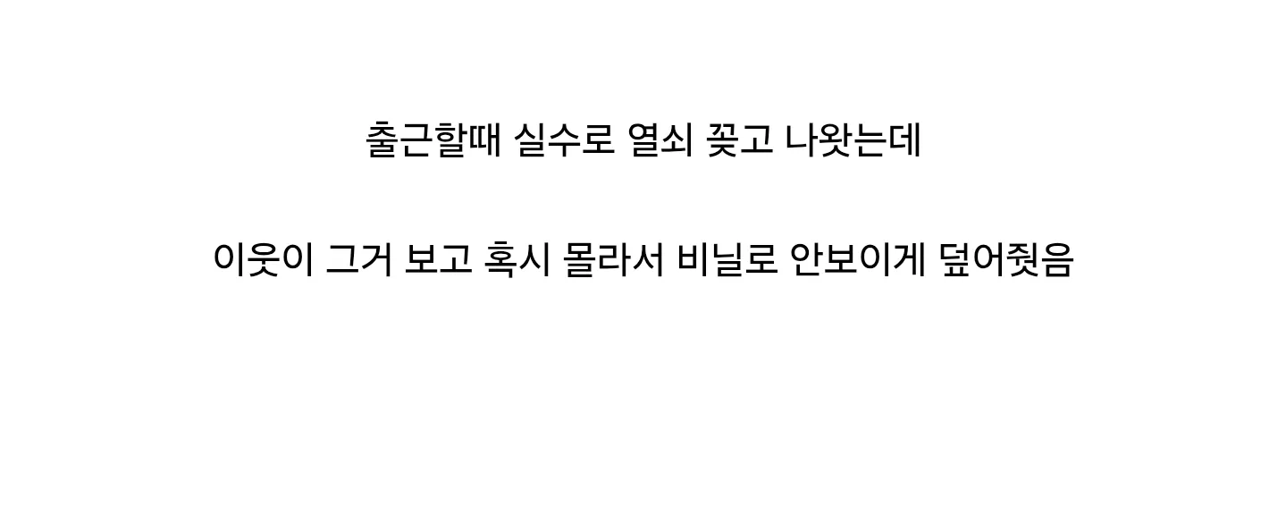 반차 내고 집에온 일본인이 감동한 이유 (3)