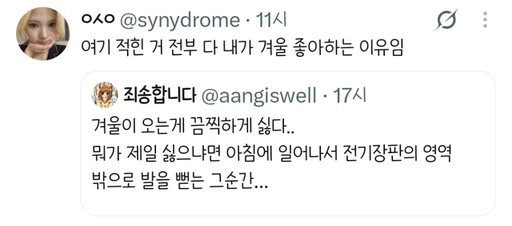 겨울이 오는게 끔찍하게 싫다...twt (2)