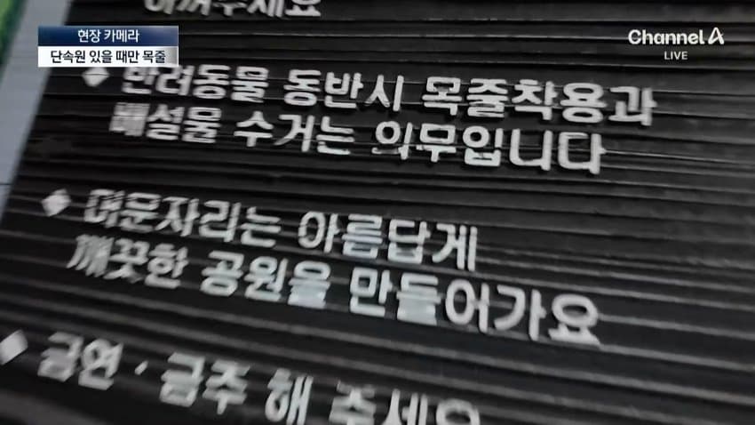 채널a) 단속원 퇴근하자...공원이 '개판' (6)