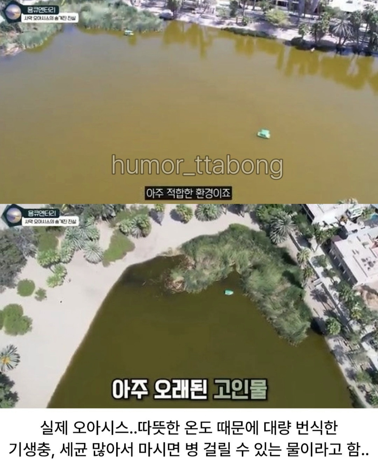 상상한 오아시스와 실제 오아시스 모습 (3)