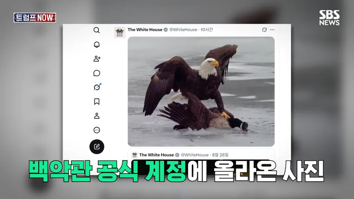 SBS 뉴스 - 미국에 전력 끊어! 중국이야 우리야 똘똘 뭉친 '원팀 캐나다' 분노 폭발.전 세계가 참았지 트럼프 .jpeg.png