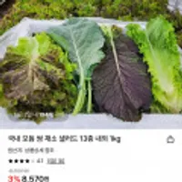 국내산 모듬 쌈채소 13종 1kg