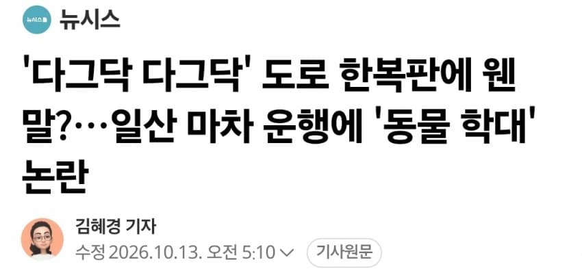 '다그닥 다그닥' 도로 한복판에 웬 말?…일산 마차 운행에 동물학대논란