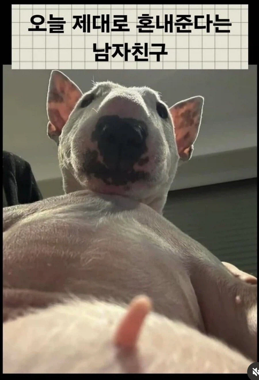 오늘 오빠 믿지?_1.webp