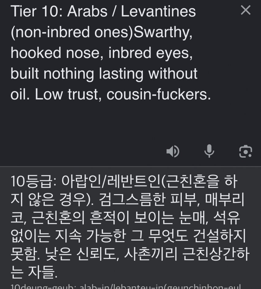 서양 커뮤에서 만든 인종 순위 20단계 (25)