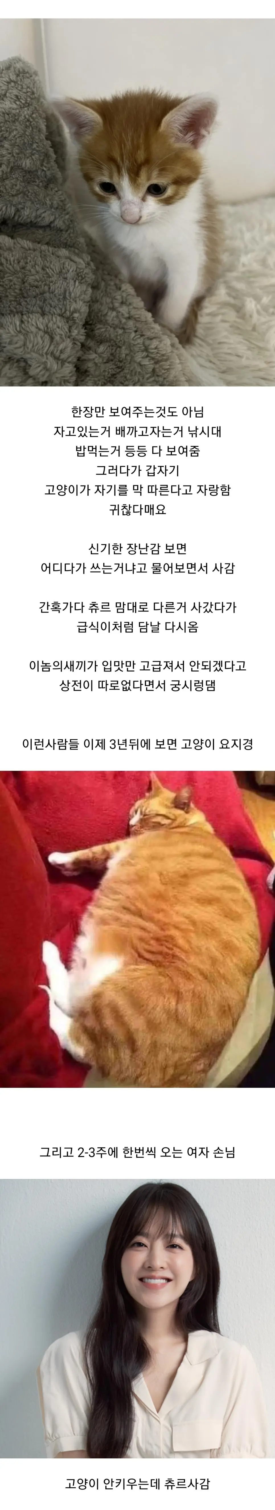 고양이 용품샵에서 일하는 직원이 말하는 손님들 관상 (4)