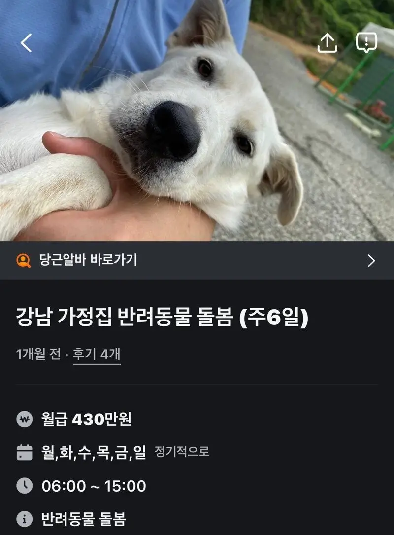 강남지역 당근 알바 근황 (2)