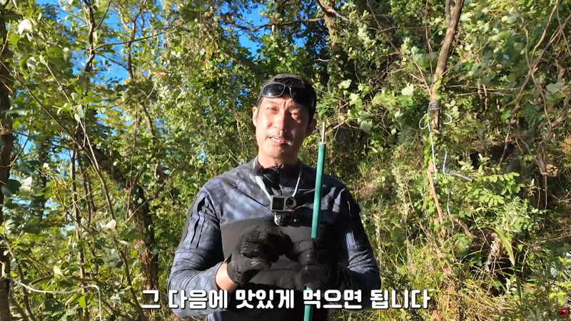혐주의) 산왕거미를 생으로 먹어버린다는 국내 유튜버 (9)