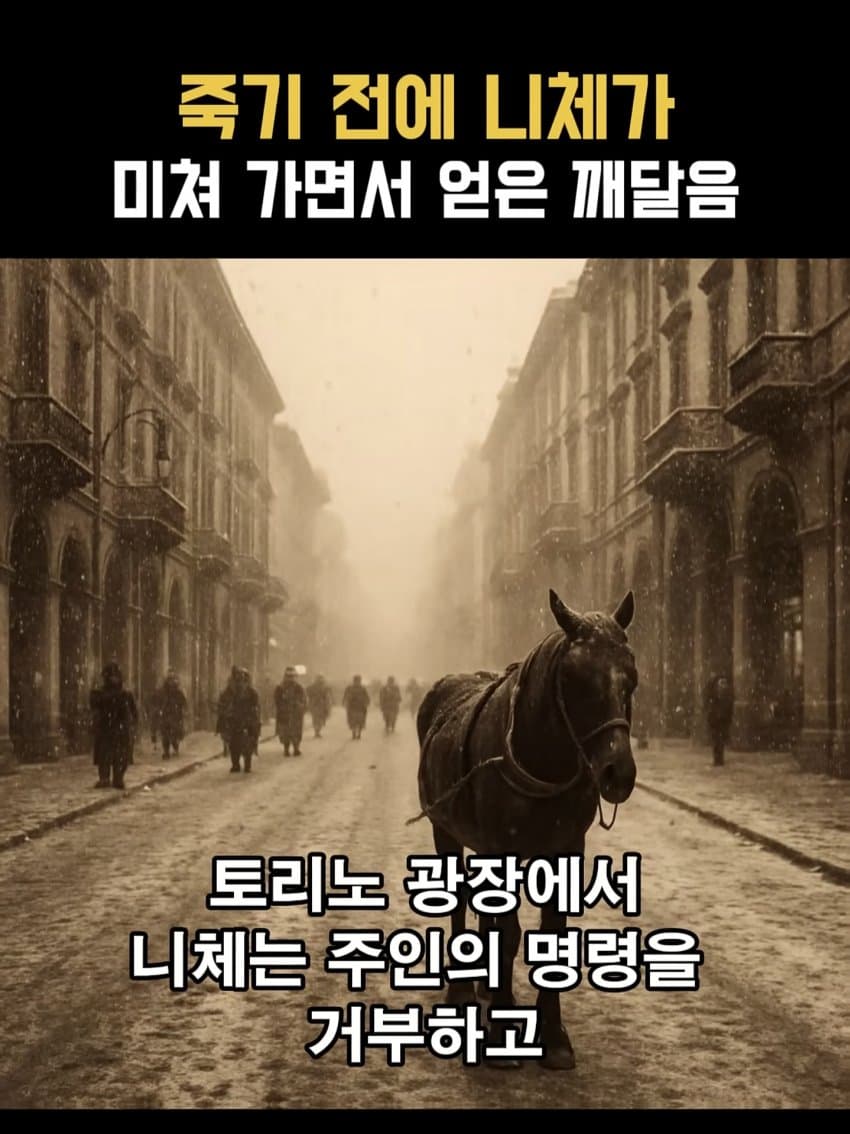 ㅂㅅㅂㅅ 니체가 죽기 직전에 미친 이유 (2)