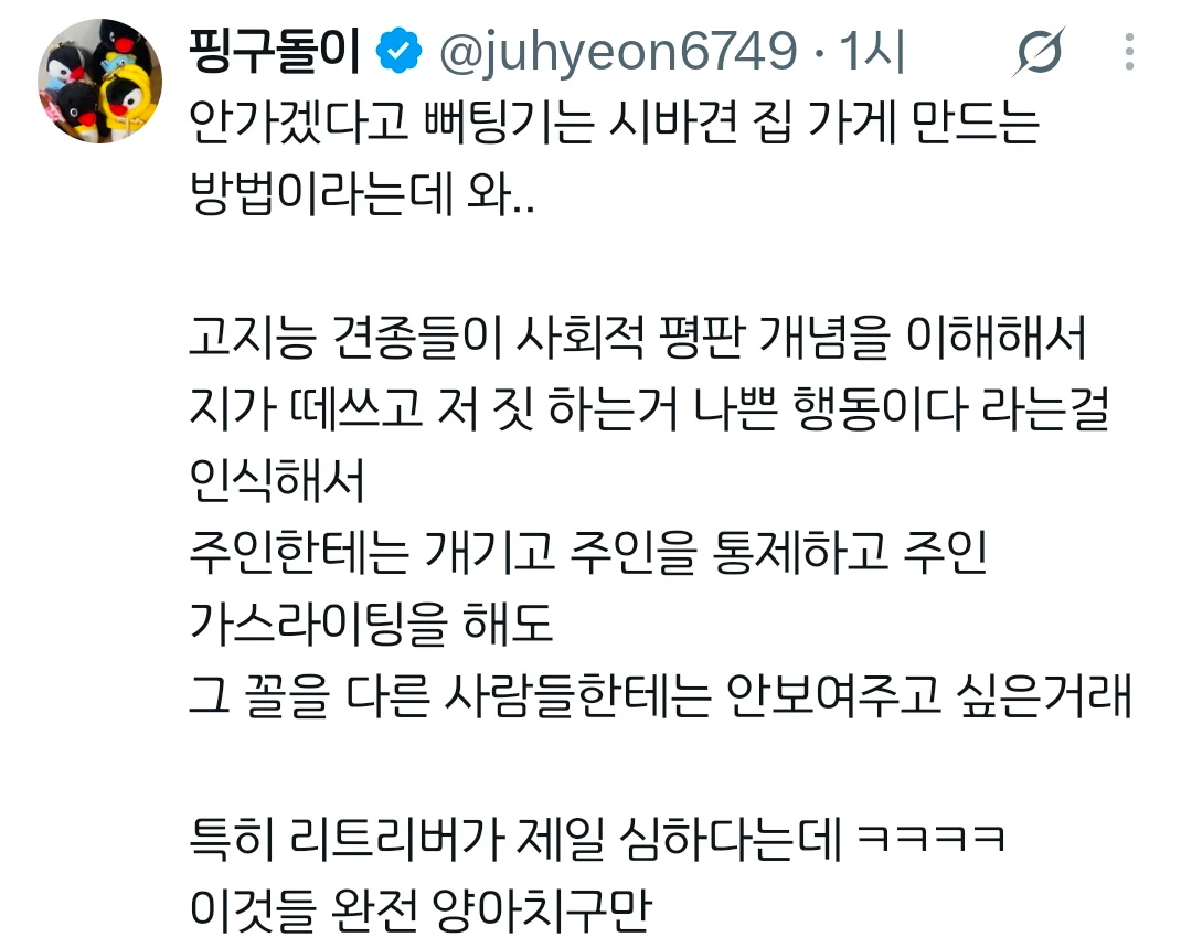 집가기 싫다고 떼쓰는 강아지 꿀팁 ㅋㅋㅋ