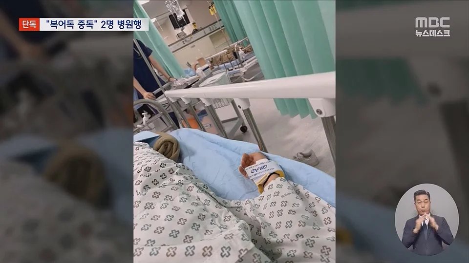 [단독] 소문 난 복국집서 '복어독' 중독‥병원행 식당측 "개인의 체질문제" (5)