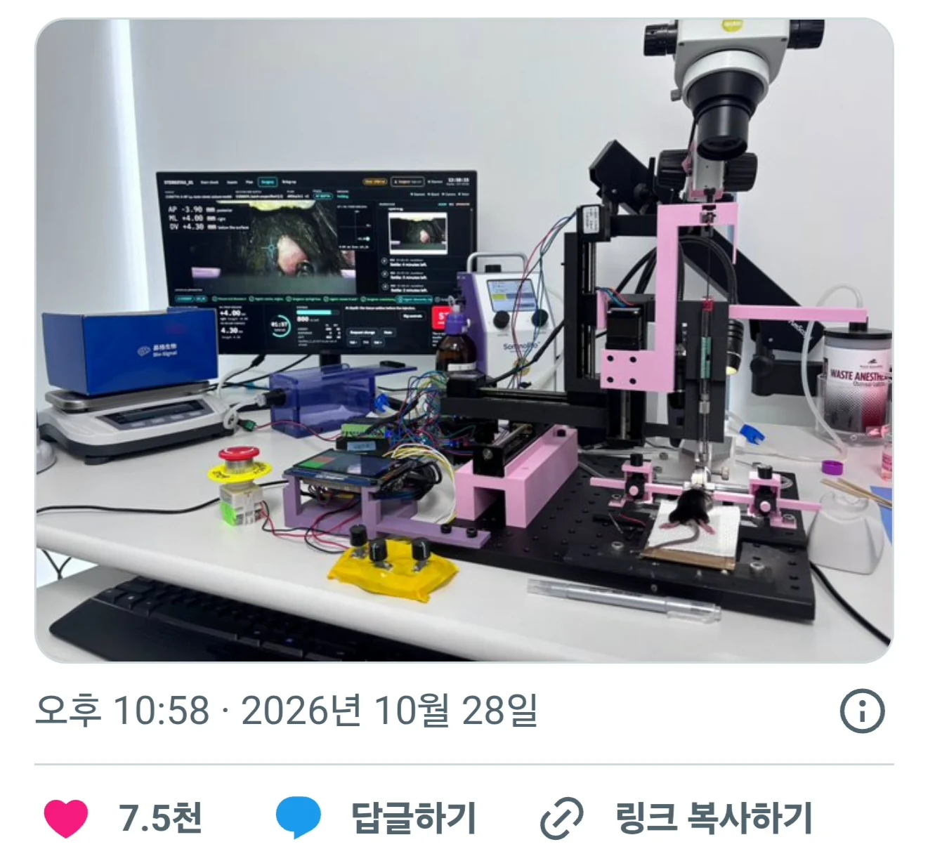 오푸스 AI '살아있는 쥐' 수술 거부 (2)