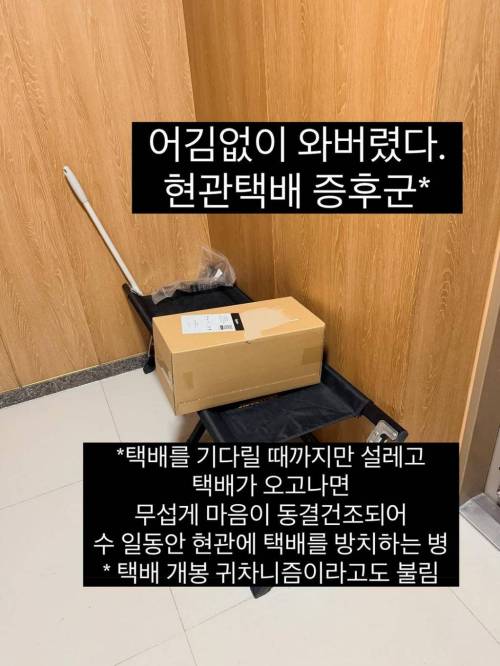 현관택배 증후군.jpg