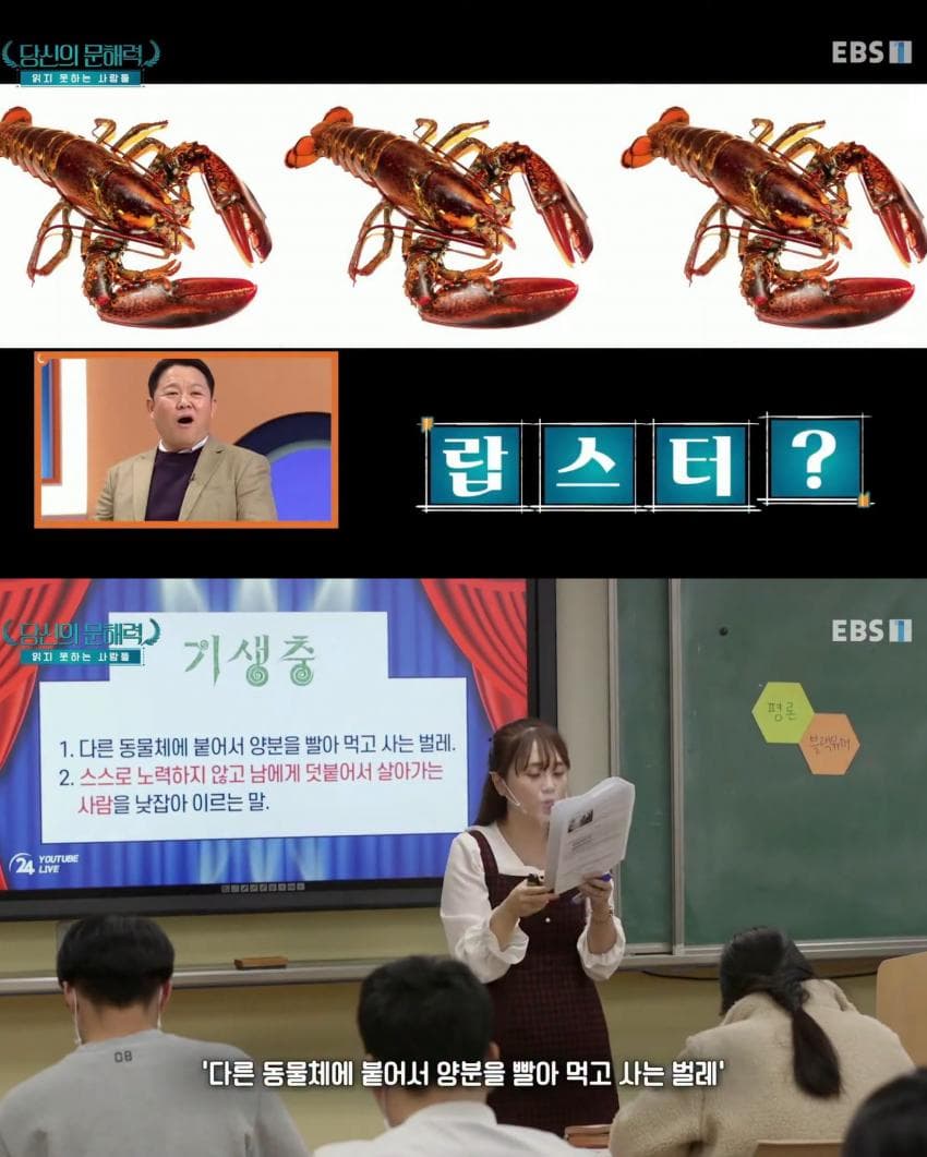 요즘 심각하다는 사람들 문해력 수준 (8)