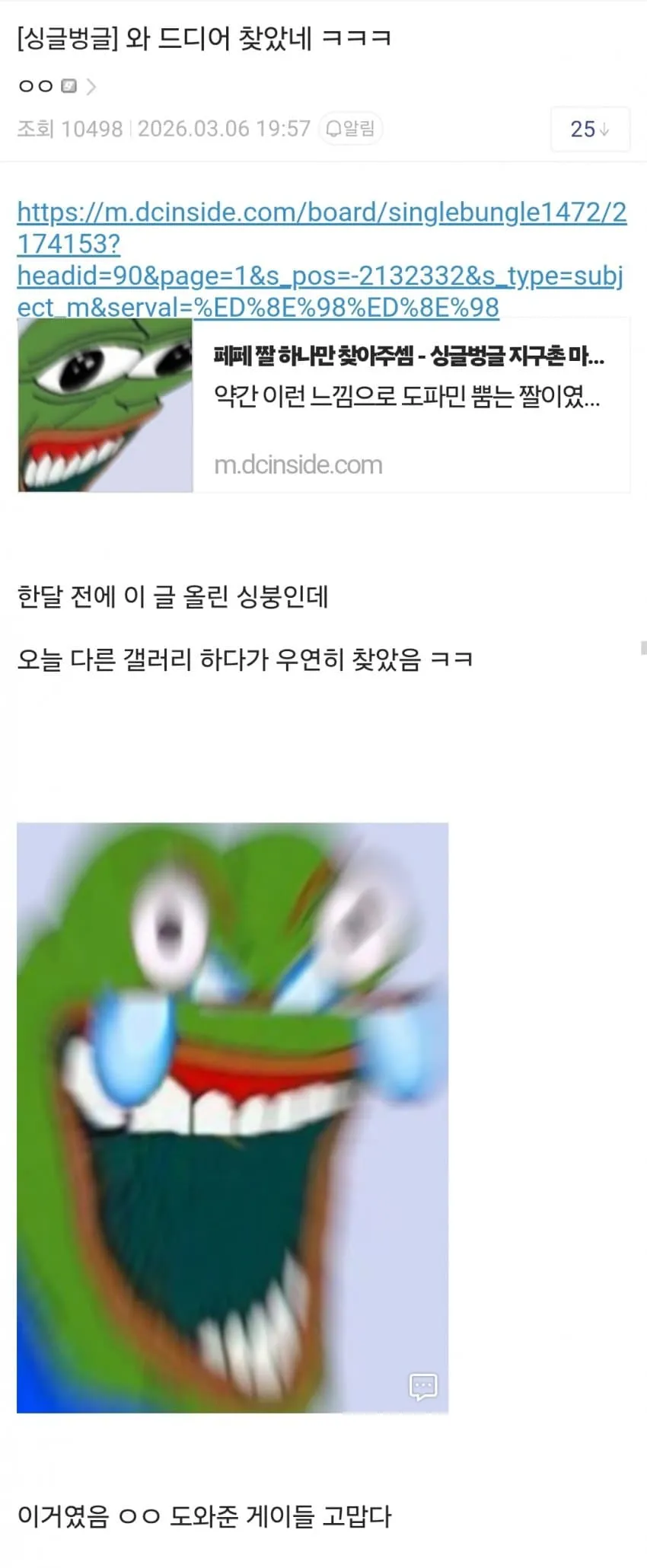 싱글벙글 페페 찾기 대작전