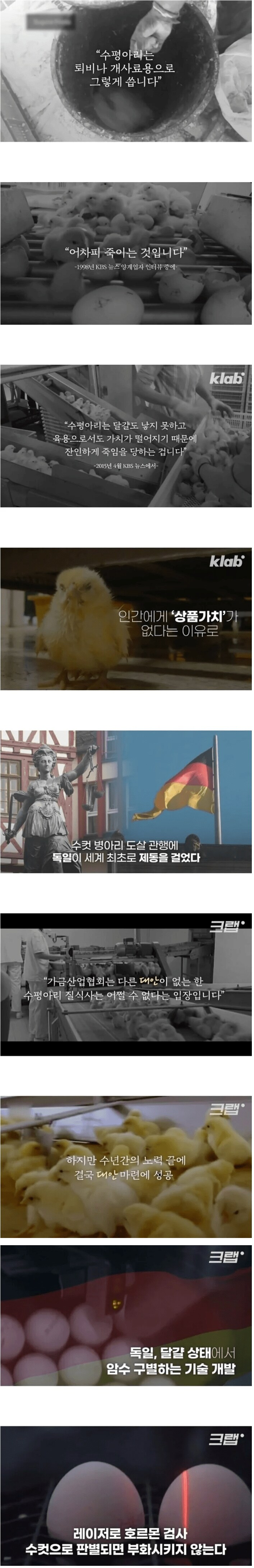 태어나자마자 죽는 생명체