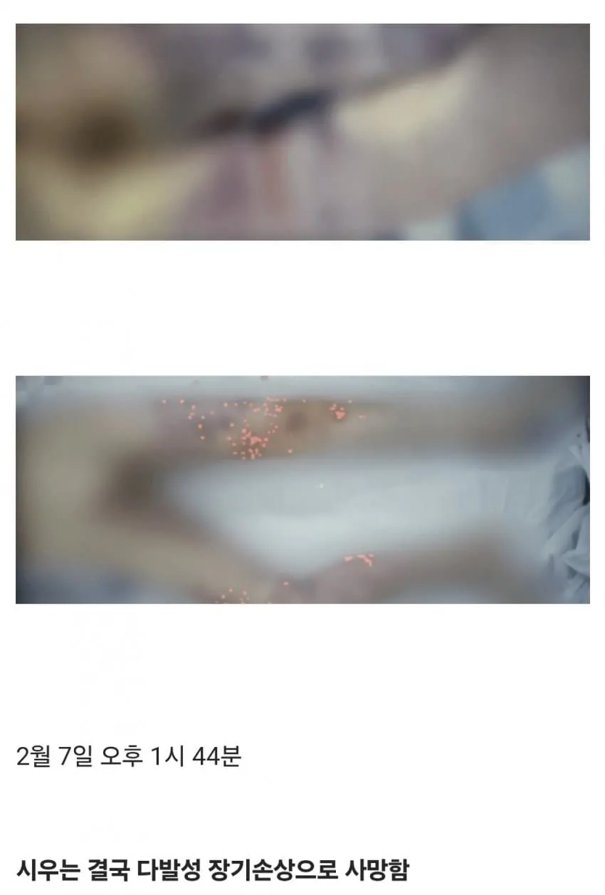 시우23.jpg 의자에 묶여 죽을 때까지 성경을 읽어야 했던 초등학생