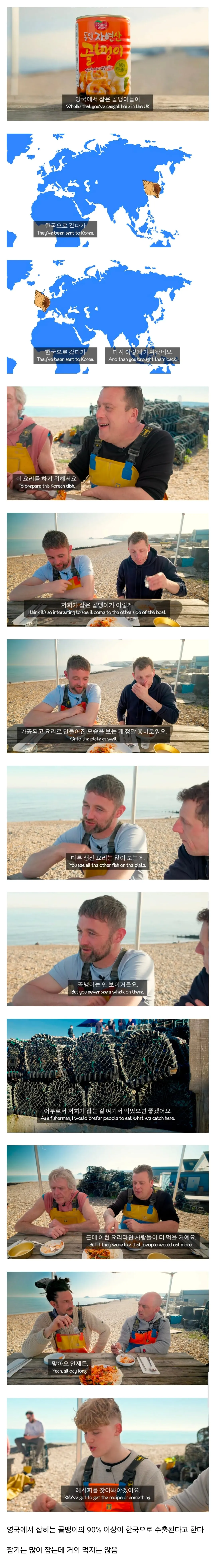 한국인들을 위해 영국에서 골뱅이 잡는 어부들에게 골뱅이무침 먹여봄.jpg