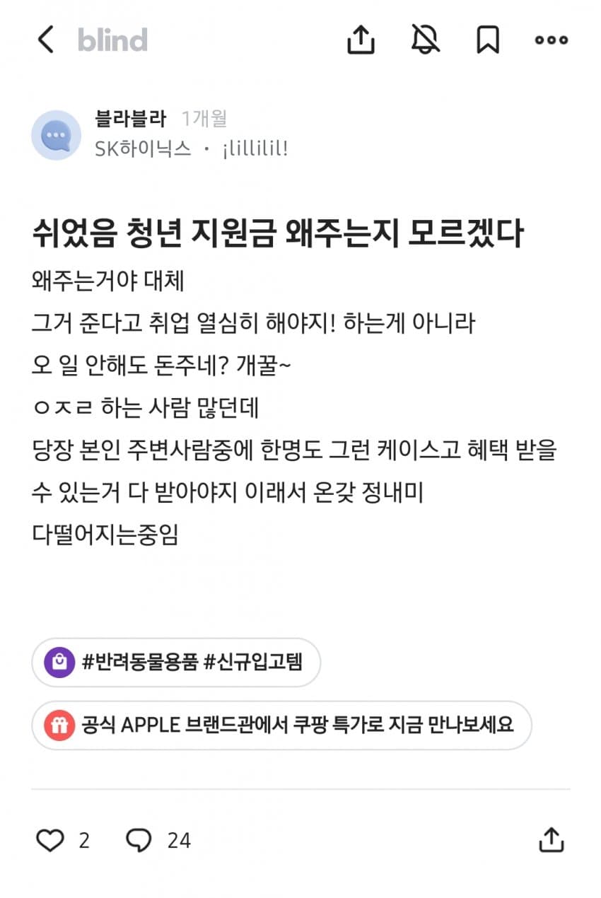 쉬었음 청년만 보면 화가 머리 끝까지 난다는 블라인 (11)