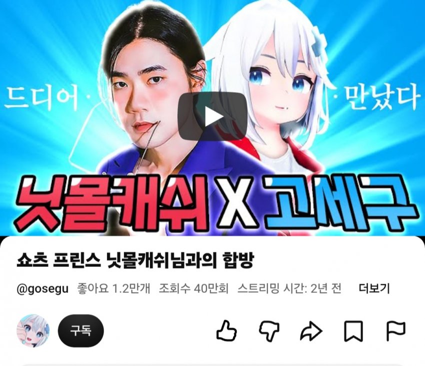 BTS 댄서’ 닛몰캐쉬, 사생활 논란 속 경기도의회 드라마 ‘비상’ (6)