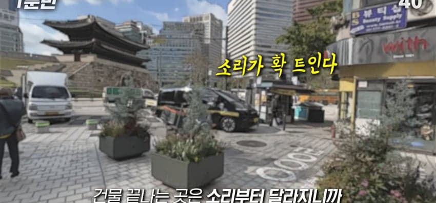 안내견은 목적지를 어떻게 아는 걸까? (13)