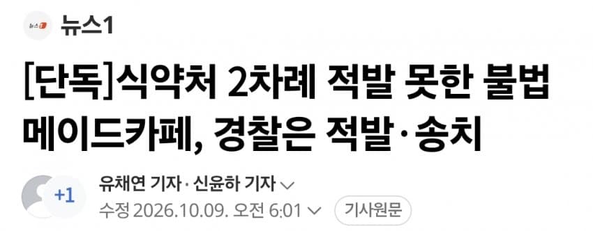 식약처 2차례 적발 못한 불법 메이드카페, 경찰은 적발·송치