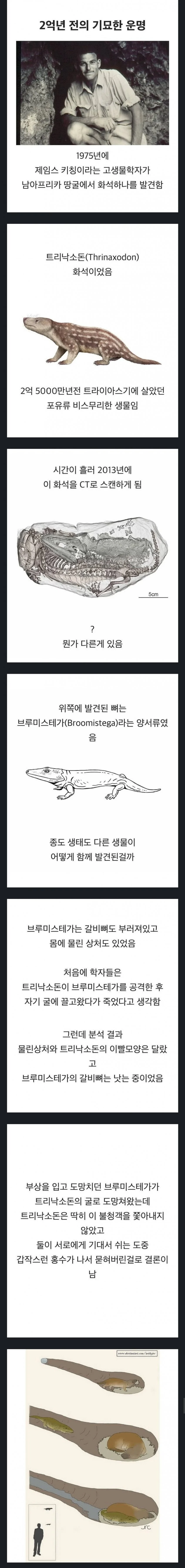 [실제사례] 2억년의 시간을 함께한 친구...
