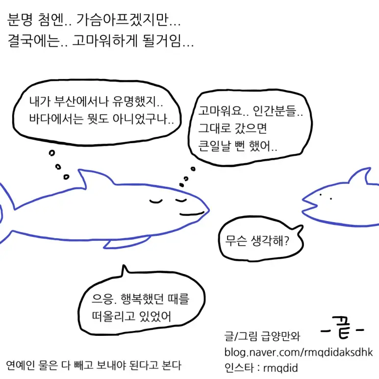 부산 상어의 미래 (15)