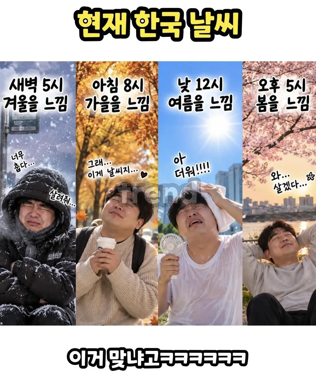 한국  샤갈날씨  근황