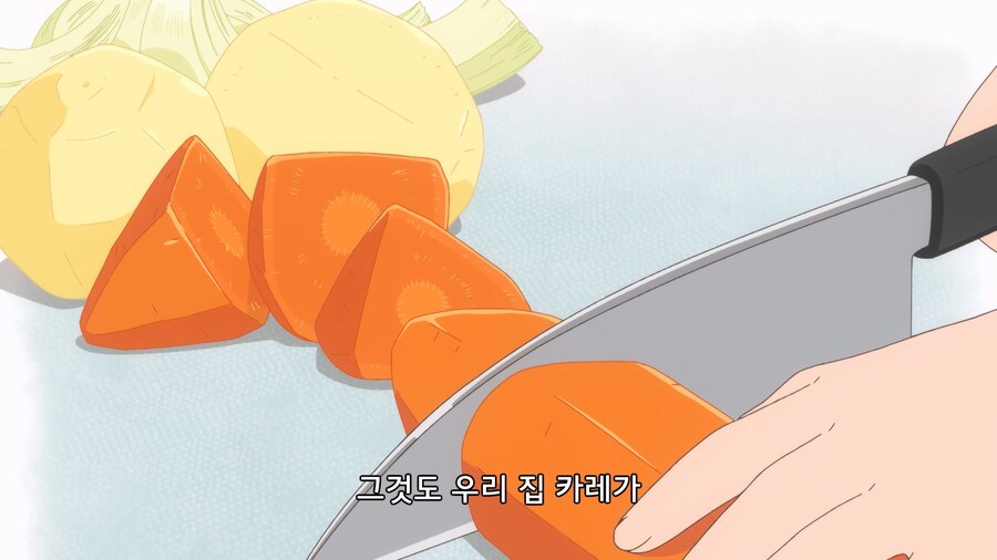 교토의 환락가에서 카레를 만들지 않는 이유 (2)