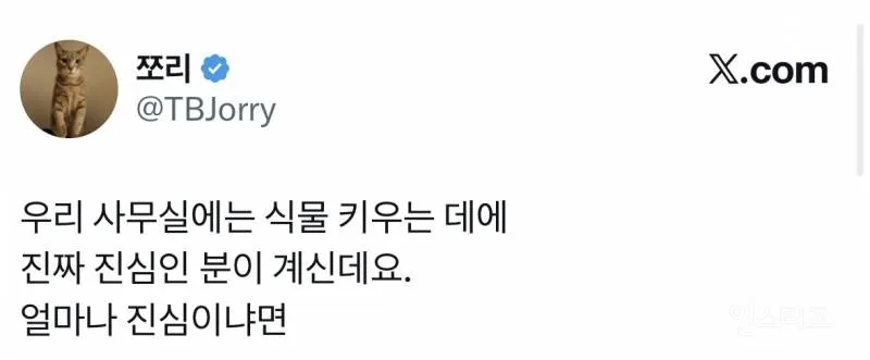 사무실 식물에 진심인 직원