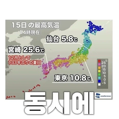 일본에서만 볼 수 있다는 사계절 (2)