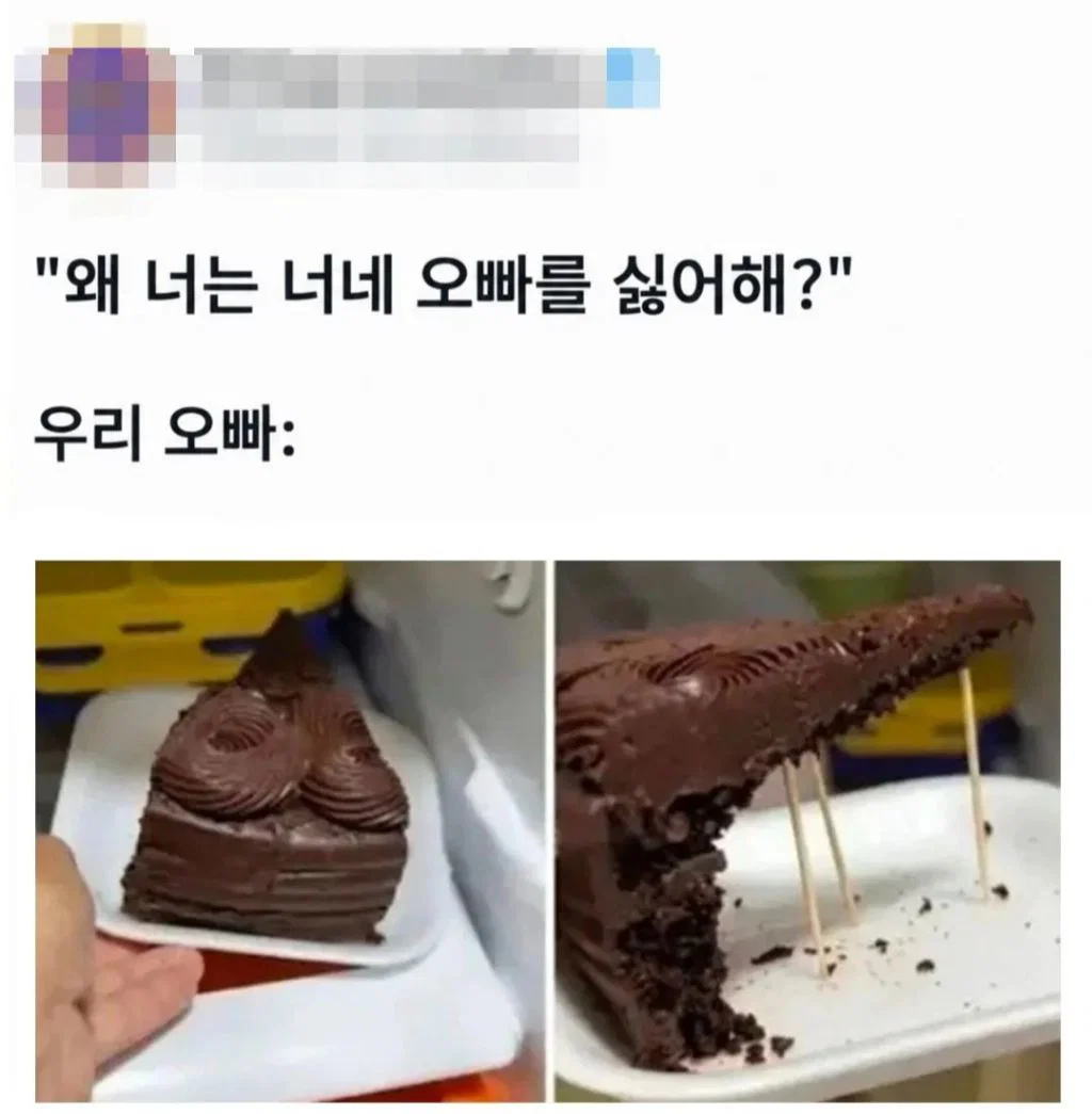 "오빠가 너무 싫다"며 사진을 공개한 여동생 (2)