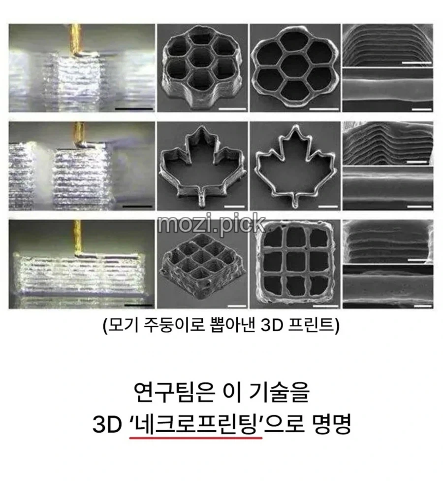 드디어 쓸모가 있어진 그놈 (2)
