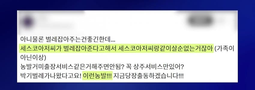 거미거미 징그럽고 큰데 이로운 거미 (5)