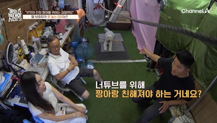 싱글벙글 반려견이 스트레스 받는데도 방송 촬영은 멈출 수 없다는 보호자 (35)