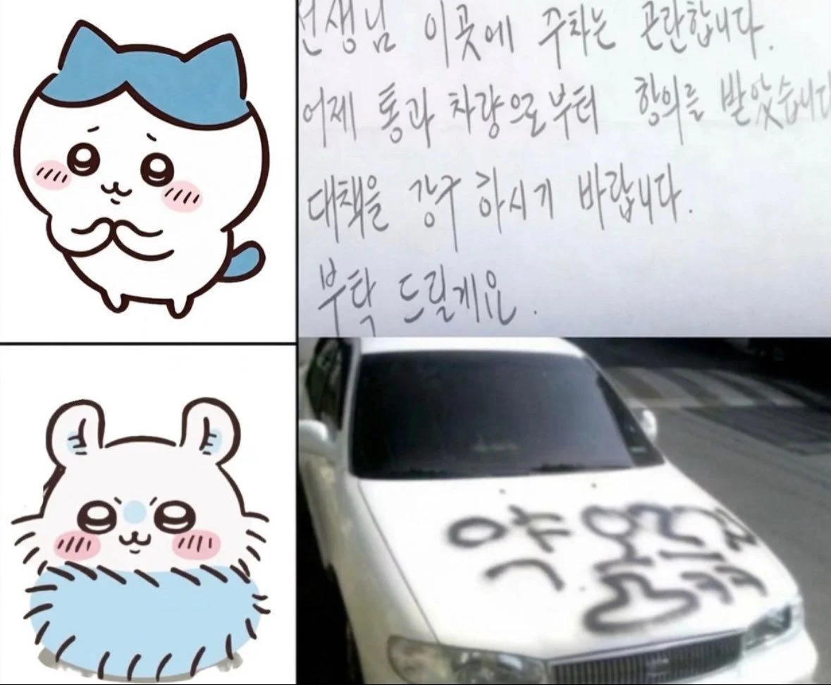 주차를 ㅈ같이 한 차를 본 치이카와들 (2)