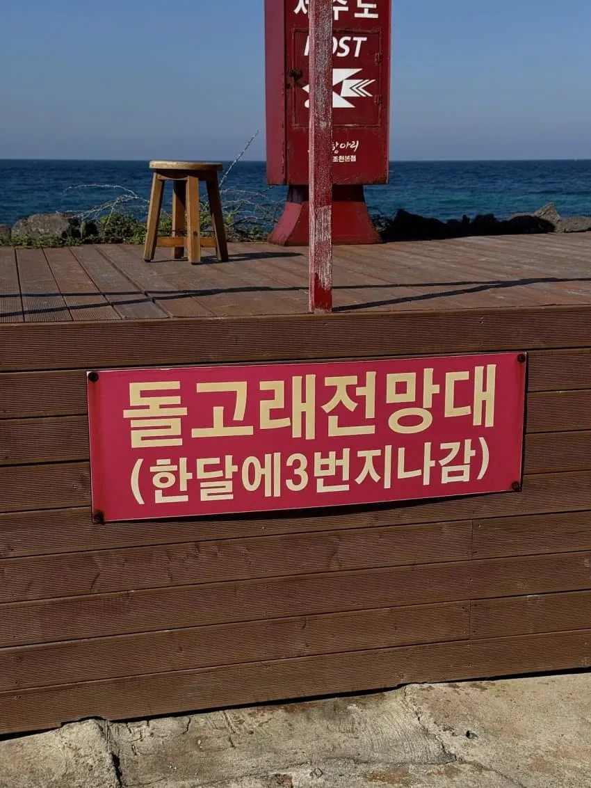 왁자지껄 우당탕탕 지구촌