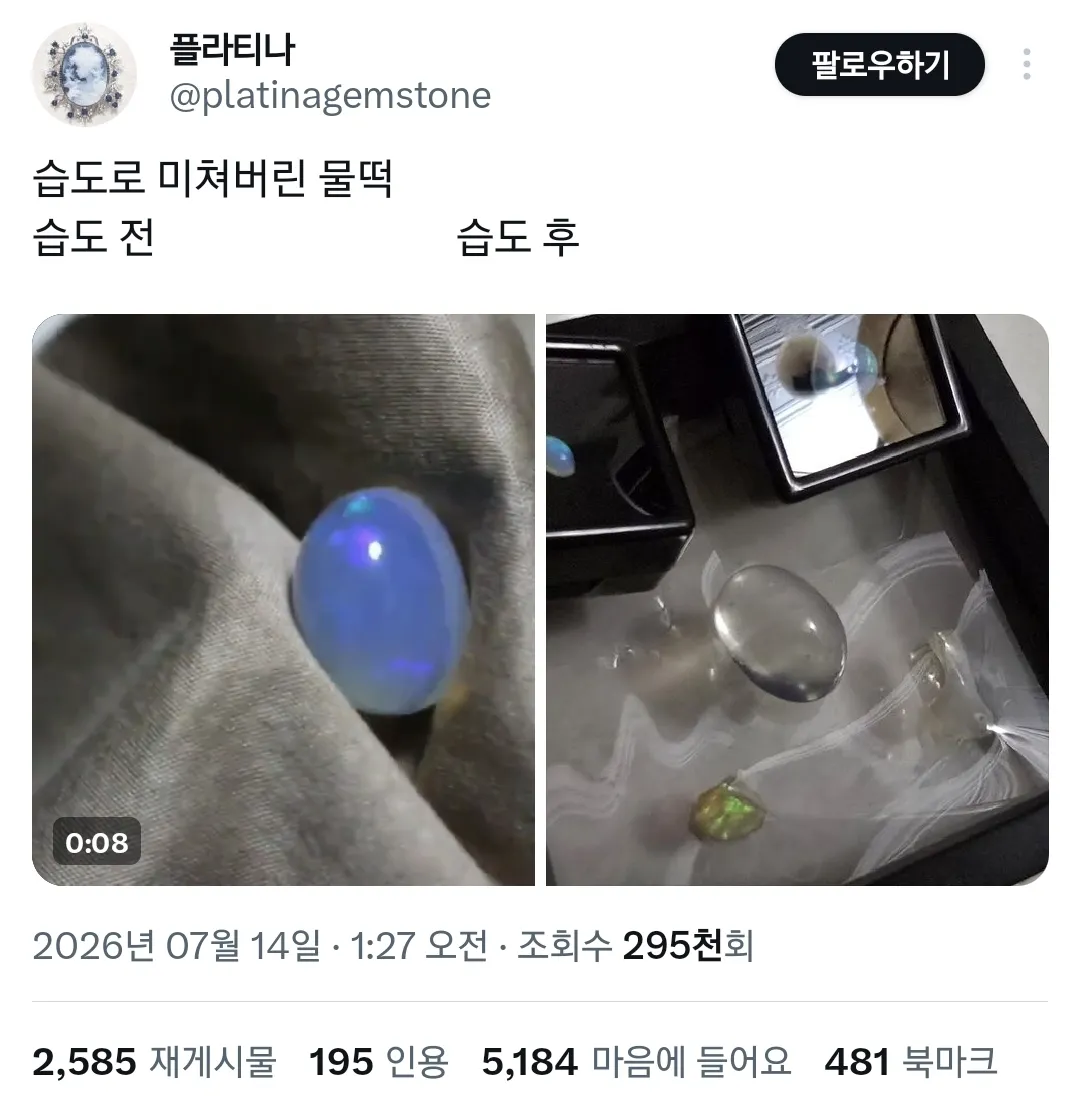 요즘 미쳐버린 한국의 습도에 영롱해진 보석.twt