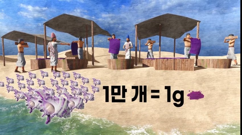싱글벙글 고대시대 황제만 입을 수 있었던 보라색 (16)