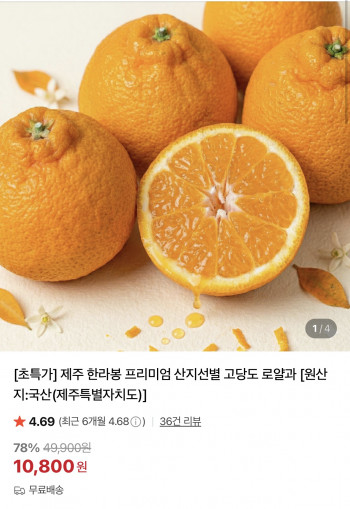 [네이버] 제주 고당도 한라봉 5kg 정품 중소과