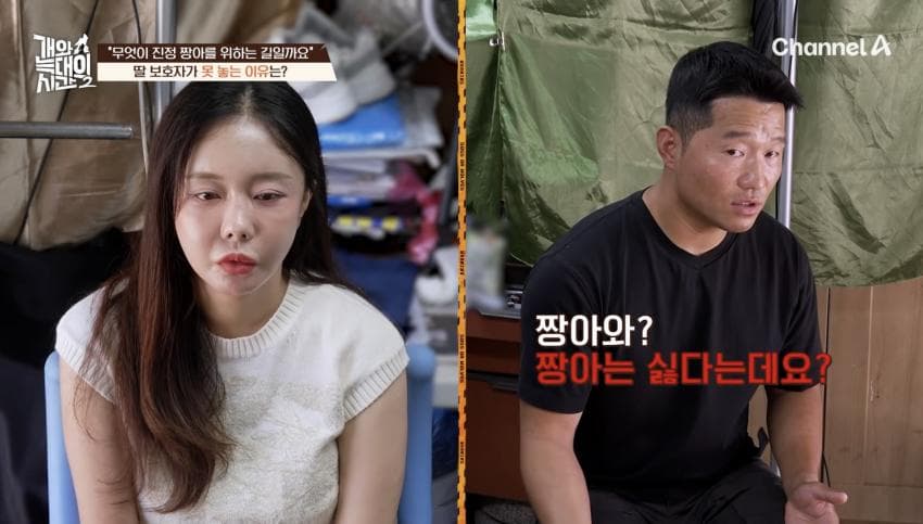 싱글벙글 반려견이 스트레스 받는데도 방송 촬영은 멈출 수 없다는 보호자 (24)