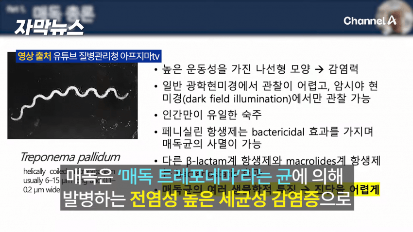 매독 감염자 확산, 한국 2030 남성 상당수(?) (10)
