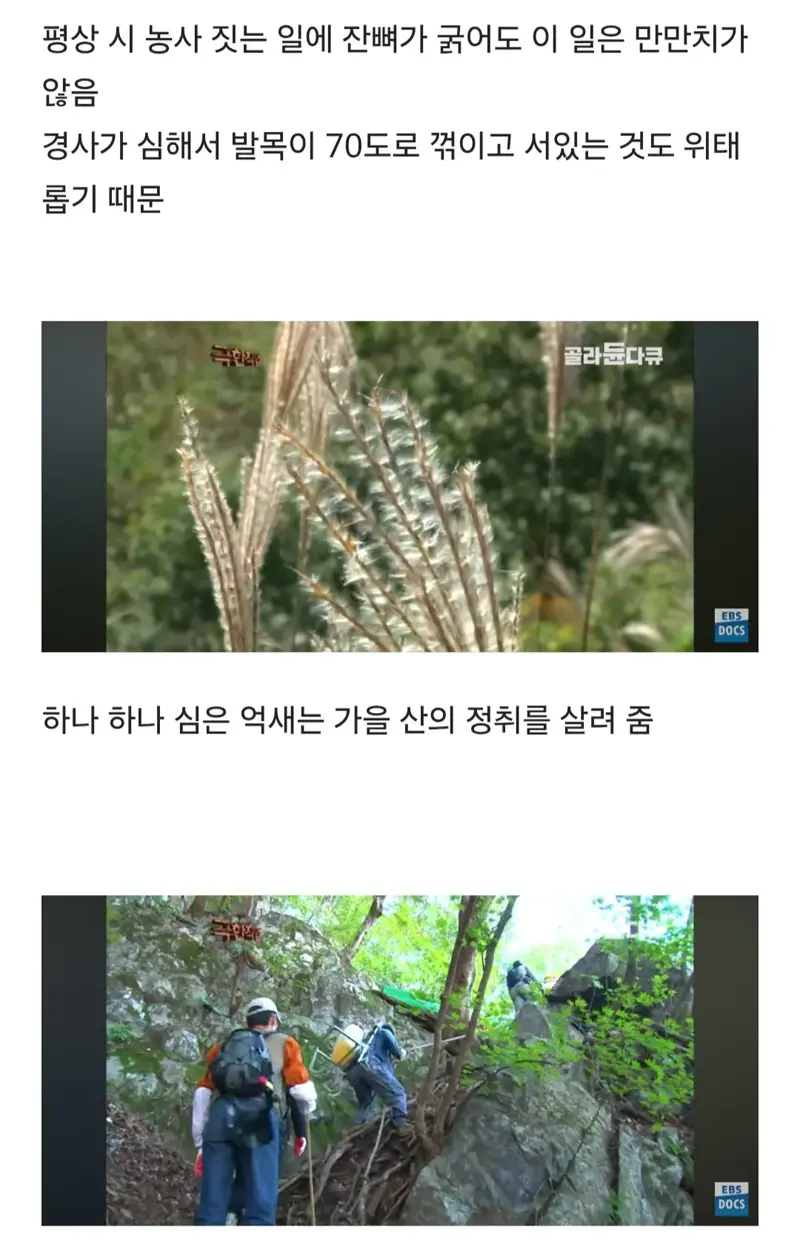 등산로는 누가 어떻게 만드는걸까 (11)
