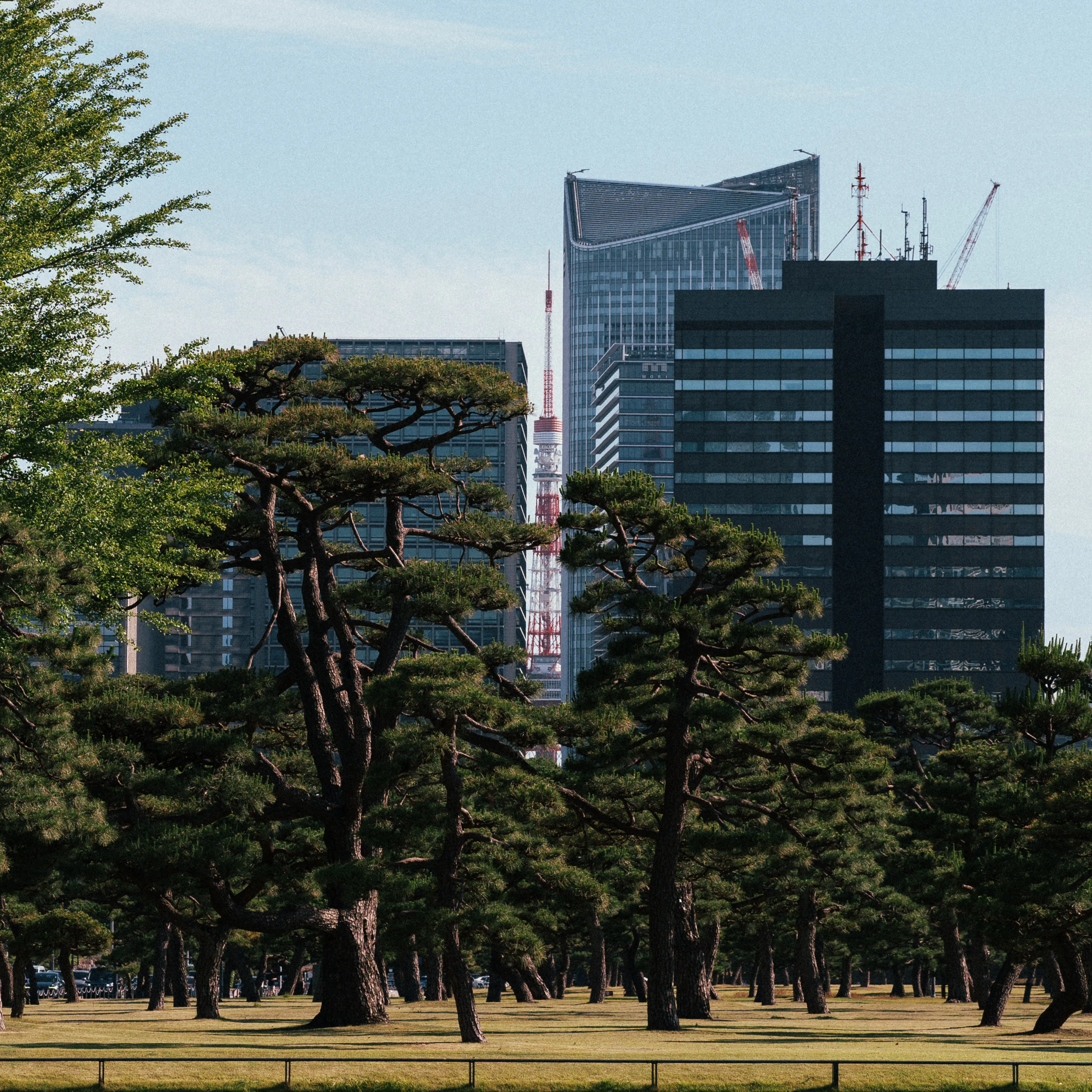 도쿄 이것저것 24pic.exif (2)